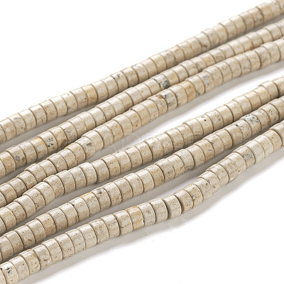 Natural Fossil Beads Strands G-H230-11-1