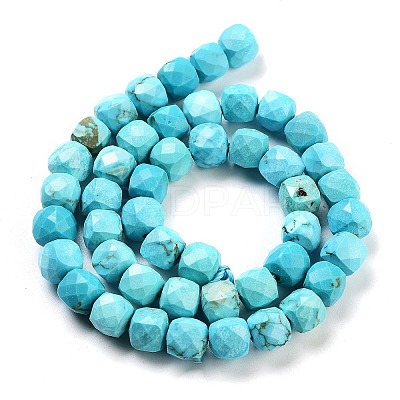 Dyed Natural Turquoise Beads Strands G-H028-A04-01-1