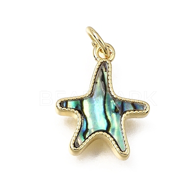 Brass & Natural Shell Pendants SH-CBA7C77-02A-G-1