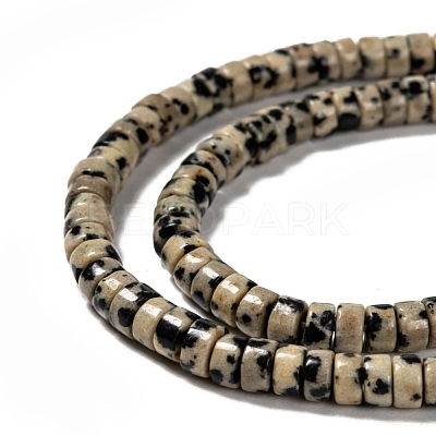 Natural Dalmatian Jasper Beads Strands G-L528-10-1