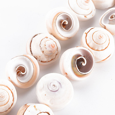 Natural Spiral Shell Bead Strands SSHEL-N034-106-1