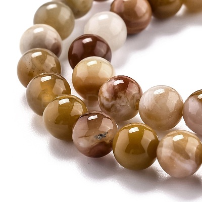 Natural Petrified Wood Beads Strands G-O199-06A-1
