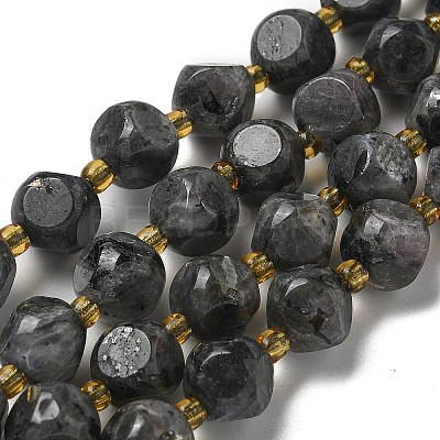 Natural Larvikite Beads Strands G-K387-A02-02-1