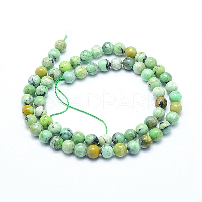 Natural Variscite Beads Strands G-G823-02-6mm-1
