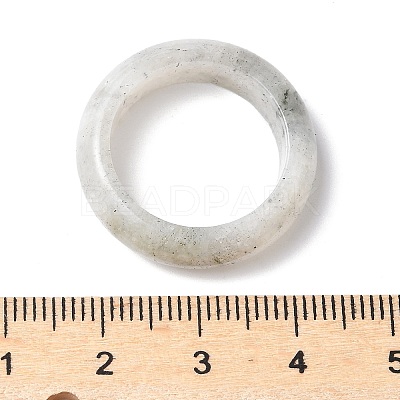 Natural Labradorite Plain Band Rings PW-WG25917-07-1