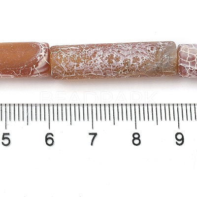 Natural Weathered Agate Beads Strands G-Q169-A04-01-1