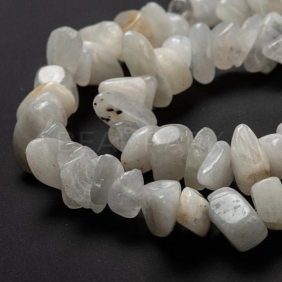 Natural Rainbow Moonstone Beads Strands X-G-A200-02-1