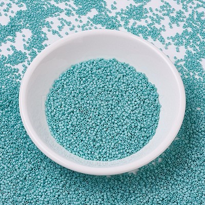 MIYUKI Delica Beads Small X-SEED-J020-DBS0878-1