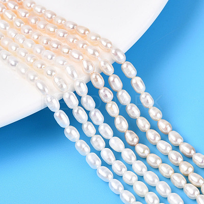 Natural Cultured Freshwater Pearl Beads Strands PEAR-N024-03-2AB-01-1