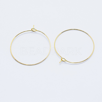 Long-Lasting Plated Brass Hoop Earrings Findings LS-KK-K204-179G-NF-1