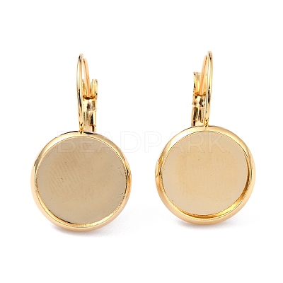 304 Stainless Steel Leverback Earring Settings STAS-F191-03G-12mm-1