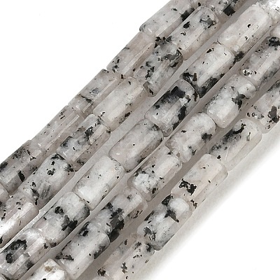 Natural Seame Jasper Beads Strands G-P600-B11-01-1