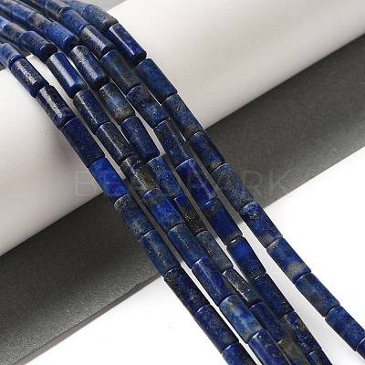 Natural Lapis Lazuli Beads Strands G-B091-A15-01-1