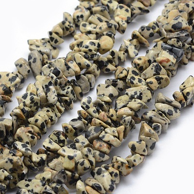 Natural Dalmatian Jasper Beads Strands X-G-P332-20-1