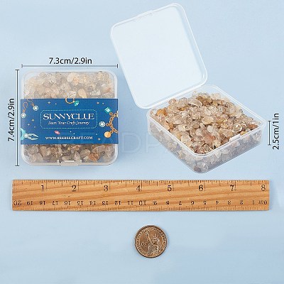 Natural Rutilated Quartz Chip Beads G-SC0001-31-1