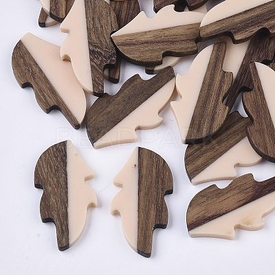 Resin & Wood Cabochons X-RESI-Q210-015A-C02-1