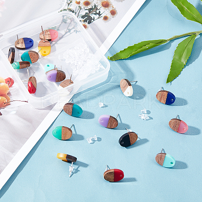 10Pairs 10 Color Two Tone Transparent Resin & Walnut Wood Stud Earring Findings FIND-FH0004-05-1