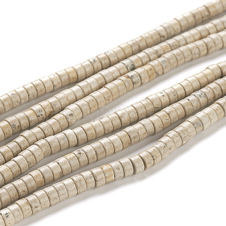 Natural Fossil Beads Strands G-H230-11-1