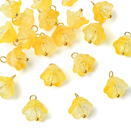 20Pcs Glass & Acrylic Flower Pendants PALLOY-YW00107-07-1