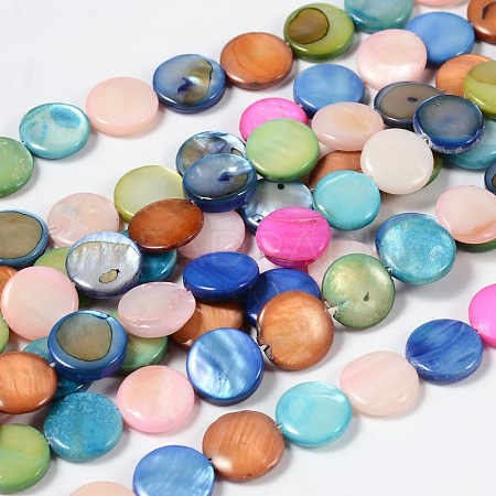 Natural Shell Beads Strands X-SHS034-2-1