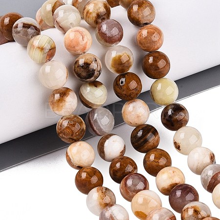 Natural Wood Lace Stone Wooden Jasper Beads Strands G-B128-A04-04-1
