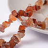 Natural Carnelian Chips Beads Strands F017-1