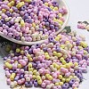 Opaque Baking Paint Glass Seed Beads SEED-K009-01A-27-1