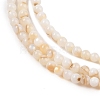 Natural Freshwater Shell Beads Strands SHEL-T011-02-4mm-3