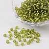 6/0 Round Silver Lined Round Hole Glass Seed Beads X-SEED-A005-4mm-24-1