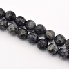 Faceted Round Natural Larvikite Beads Strands G-E302-083-8mm-1