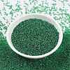 MIYUKI Round Rocailles Beads X-SEED-G009-RR0173-2