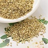 MIYUKI Delica Beads SEED-JP0008-DB0034-1