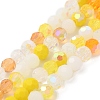 Electroplate Glass Beads Strands EGLA-P048-A07-1