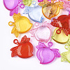 Transparent Acrylic Pendants TACR-S133-039-1