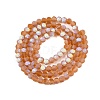 Transparent Glass Beads Strands LS-EGLA-A044-T4mm-MB04-3