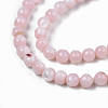 Natural Freshwater Shell Beads Strands SHEL-N003-24-B09-3
