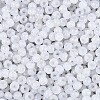 6/0 Glass Seed Beads SEED-N008-07N-3