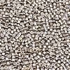 FGB 11/0 Grade A Glass Seed Beads SEED-S030-1206-2