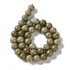 Natural Alashan Agate Beads Strands G-P530-B05-04-3
