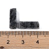 Natural Larvikite Beads G-G137-01M-4