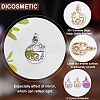 DICOSMETIC 18Pcs 3 Colors 304 Stainless Steel Pendant STAS-DC0012-34-3