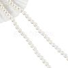  3 Strands Natural Freshwater Shell Beads Strands SHEL-NB0001-43-1