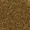MIYUKI Delica Beads SEED-MY11-DB0118-3