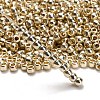 TOHO 6/0 Round Beads X-SEED-TR06-PF0558-2