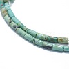 Natural Turquoise Beads Strands G-F631-B13-3