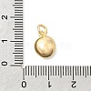 Brass Micro Pave Clear Cubic Zirconia and Glass Pendants KK-N289-05G-3