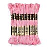 10 Skeins 6-Ply Polyester Embroidery Floss OCOR-K006-A09-1