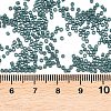 MIYUKI Delica Beads SEED-MY11-DB2407-3