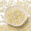 Baking Paint Glass Seed Beads SEED-F006-01A-01-2