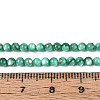 Natural Freshwater Shell Beads Strands X-BSHE-T009A-01J-4